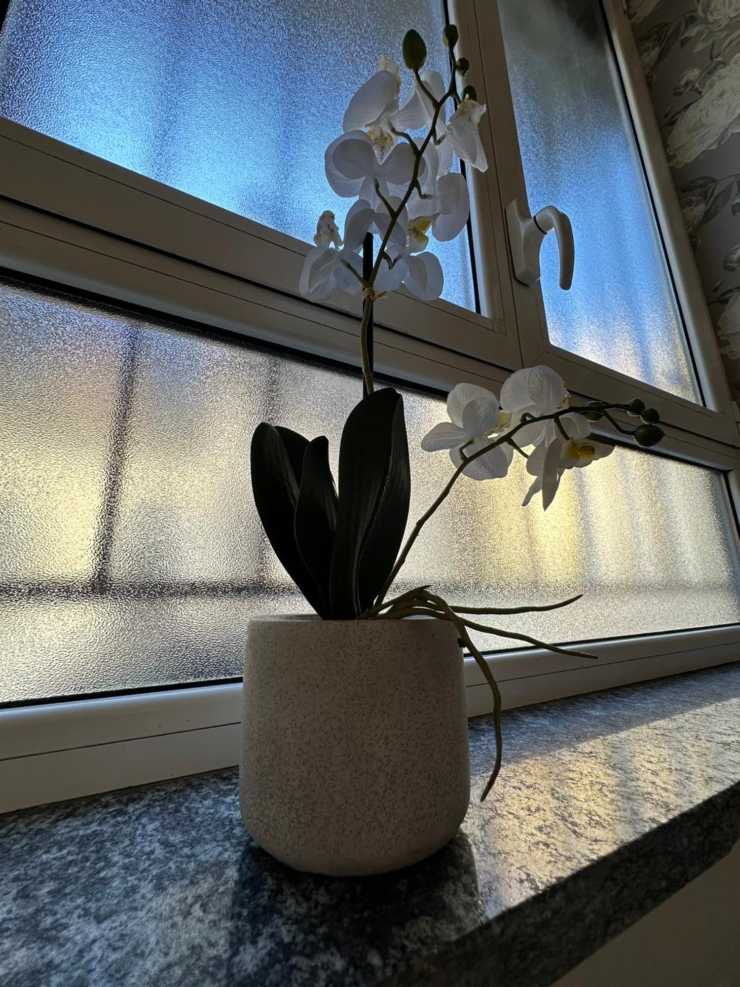 Flowers, A Cozy Suite In Μιλάνο Εξωτερικό φωτογραφία